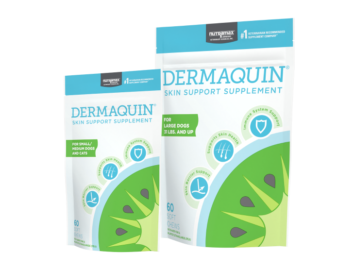Dermaquin Product